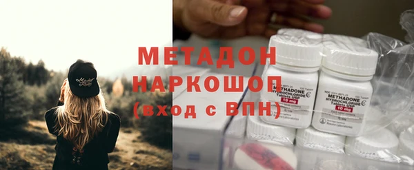 сатива Михайловка