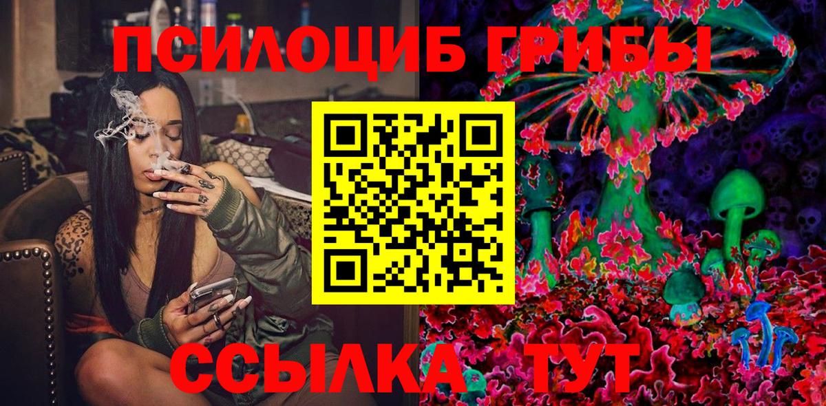 Галлюциногенные грибы Cubensis  Вход с VPN  Юрга 