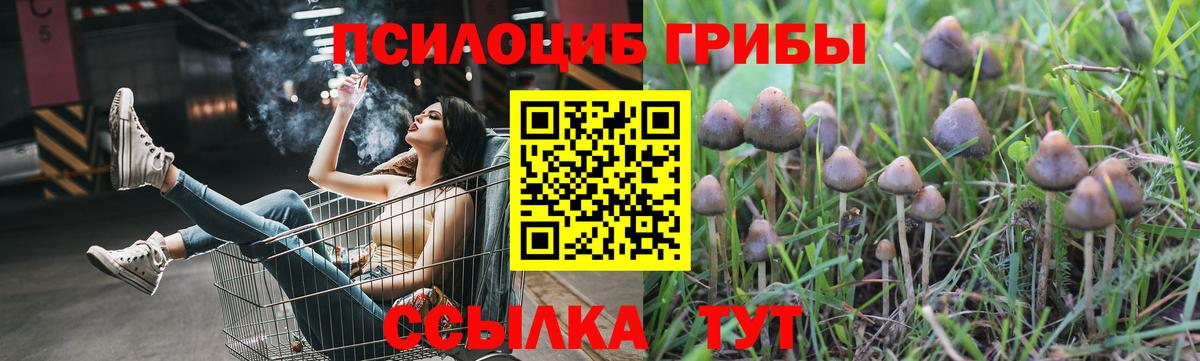 Псилоцибиновые грибы прущие грибы Юрга
